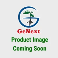BIOGEN - NitroGuard™ Free-Living Nitrogen-Fixing Biofertilizer for Cereals & Vegetables